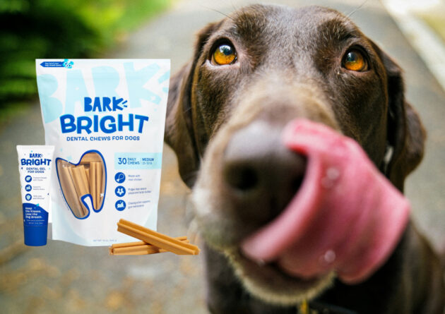 Does Your Dog’s Breath Smell Like a Garbage Disposal? These Chews Can Help.